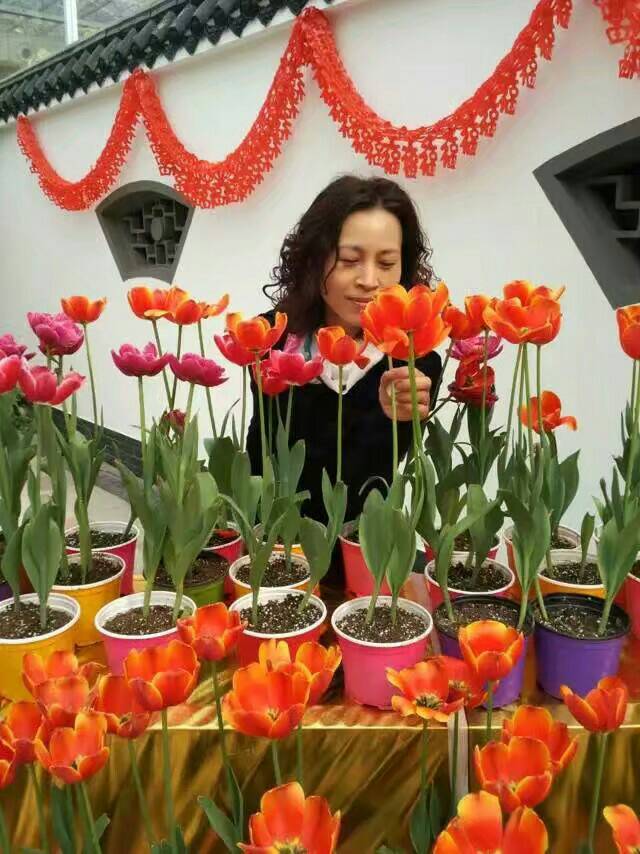 德育教研組教師文麗個人簡介